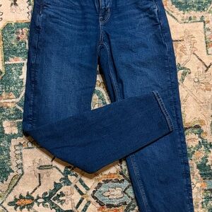 American Eagle Outfitters Dark Blue Skinny Jeans